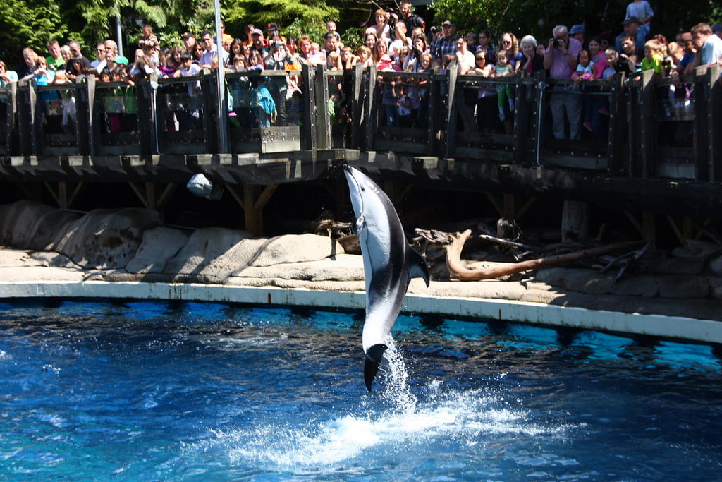 Aquario de Vancouver