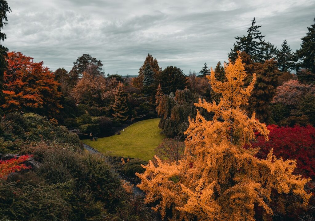 Queen Elizabeth Quarry Gardens sh