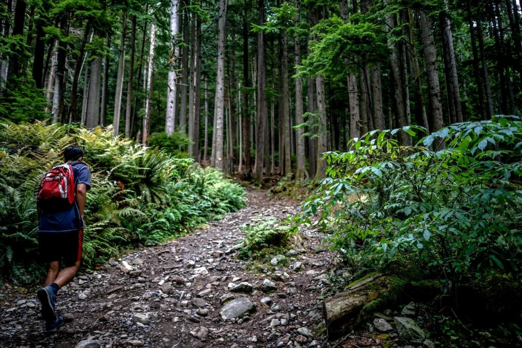 grouse mountain