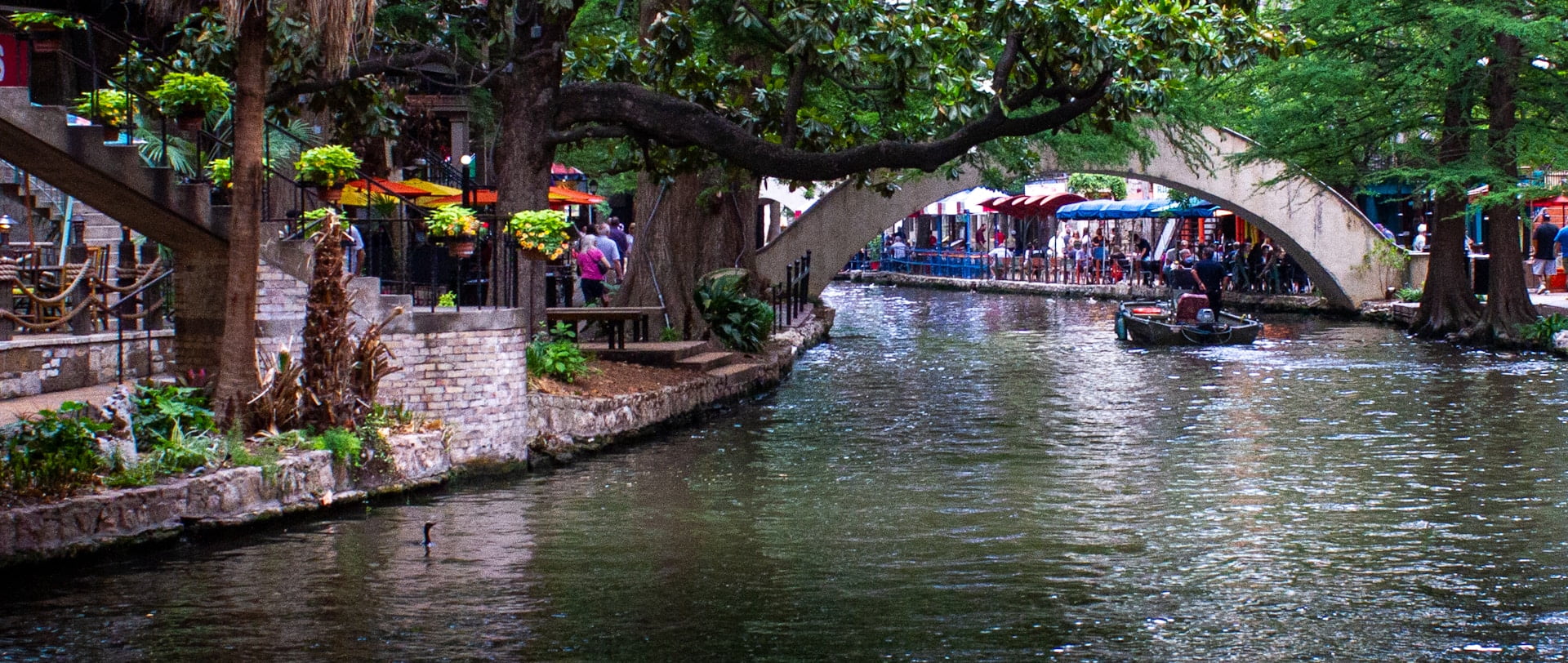 the 15 best things to do in San Antonio, Texas