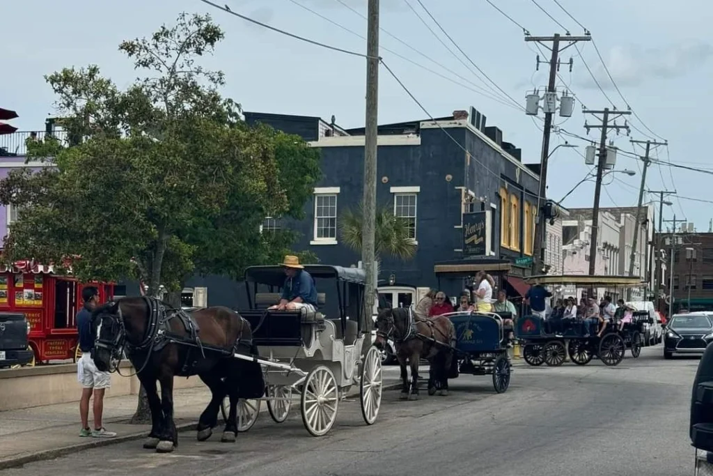 Charleston carriage tours