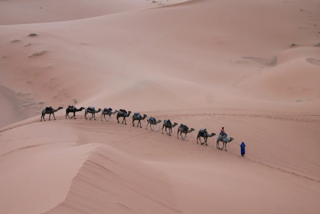 Merzouga plash