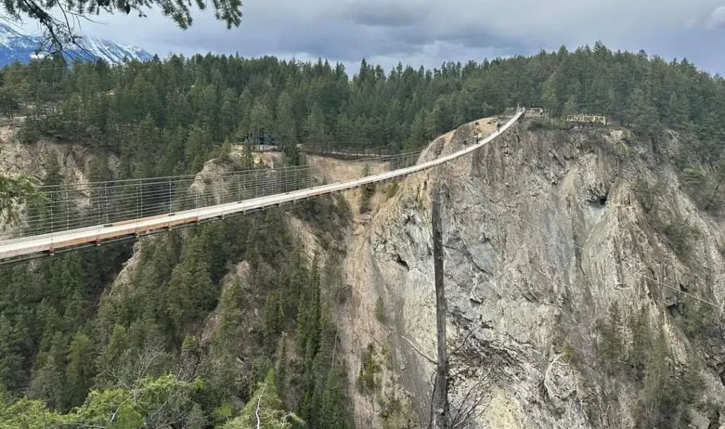 Golden Skybridge