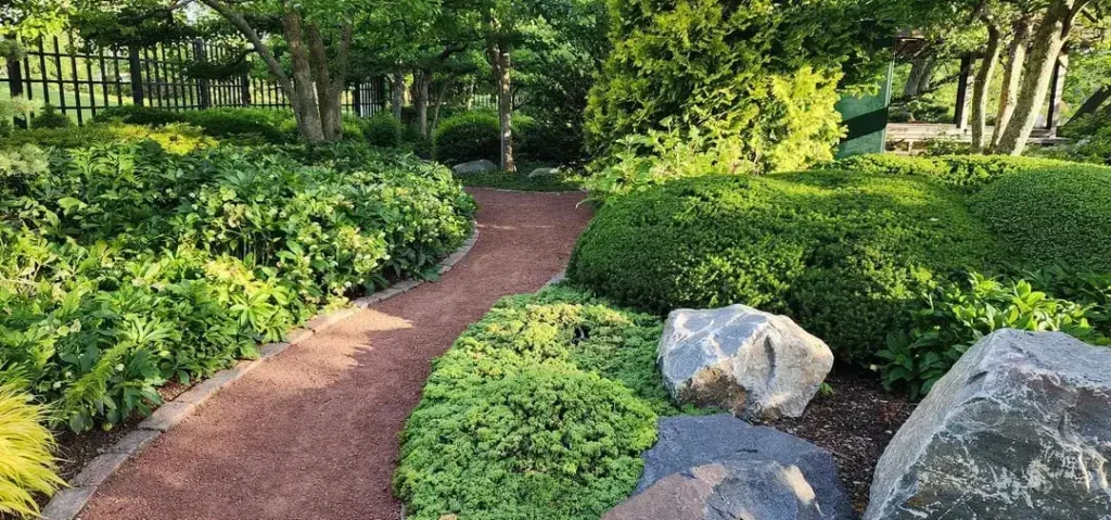 Jackson Park