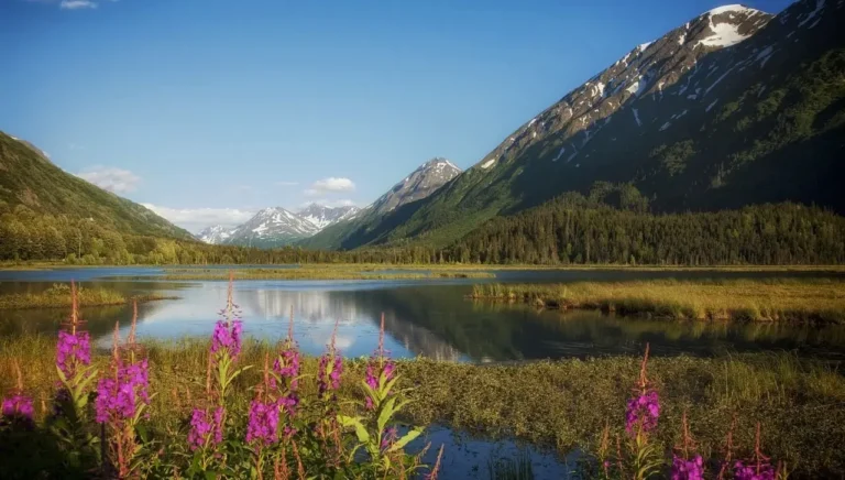 The 5 best Alaska national parks
