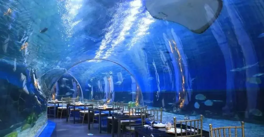 An underwater journey perfect for all ages—no deep diving needed.