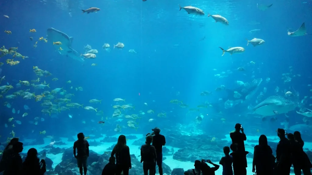 Georgia Aquarium