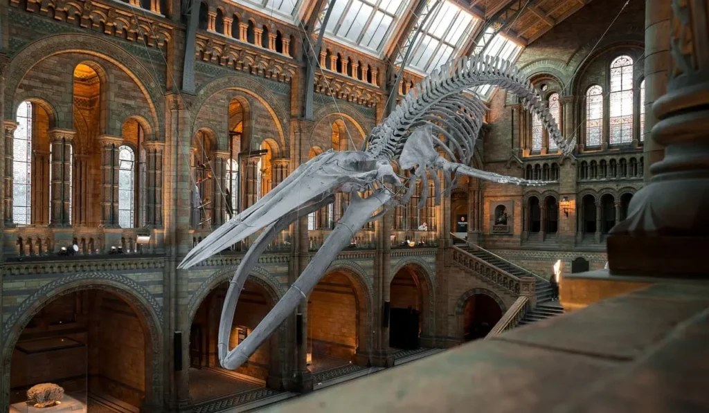 las-vegas-natural-history-museum