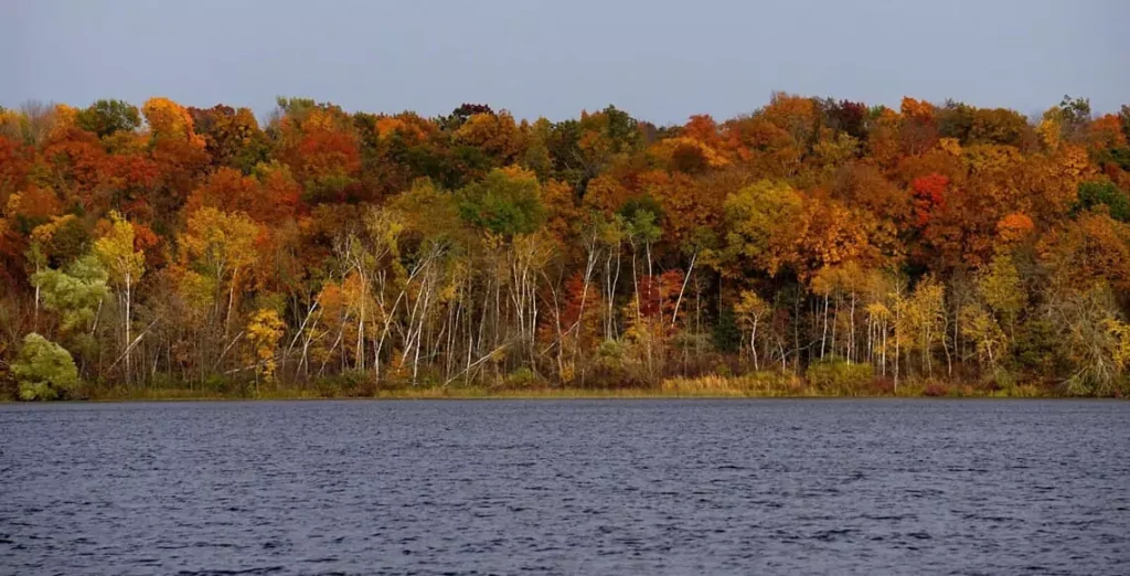 Kettle Moraine State Forest