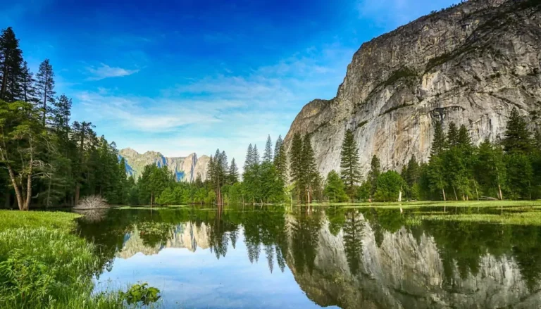 Yosemite RV Parks and Campgrounds
