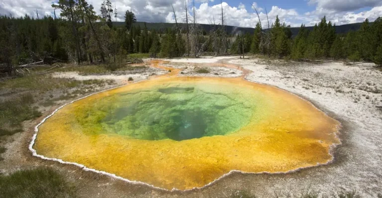 the 10 Best RV campgrounds in Yellowstone National Park