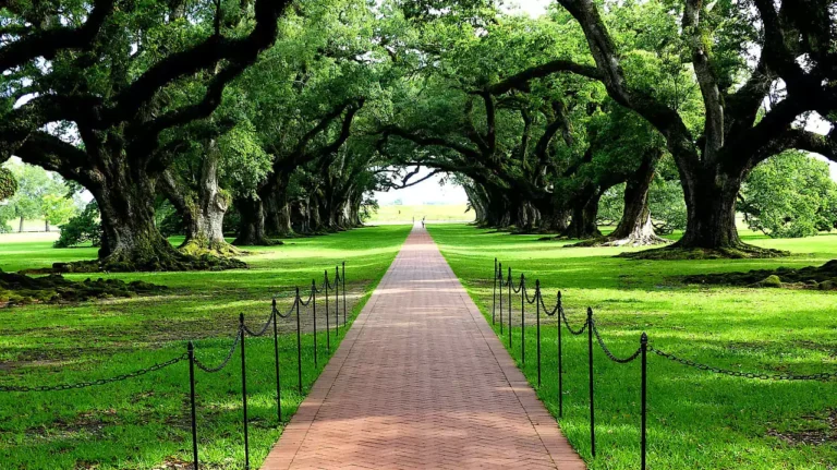 florida rv parks and campgrounds