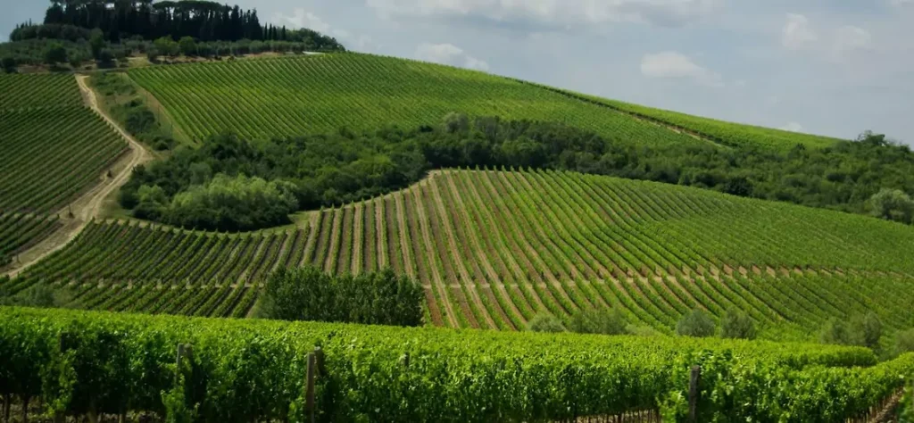 A Taste of Tuscany by Trafalgar Tours