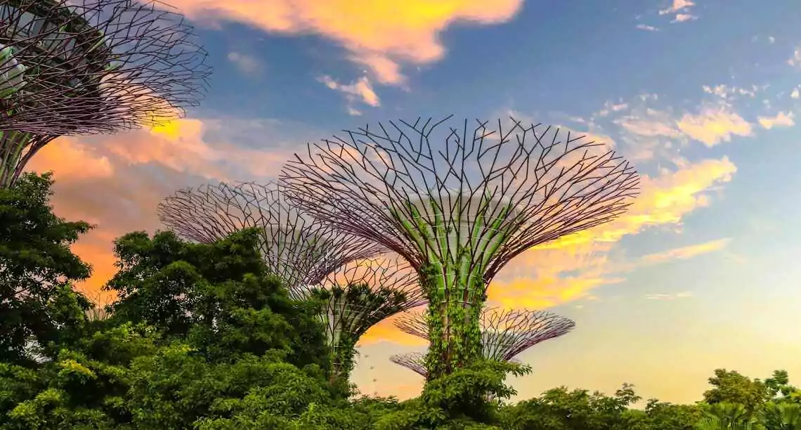 elderly friendly attractions in singapore