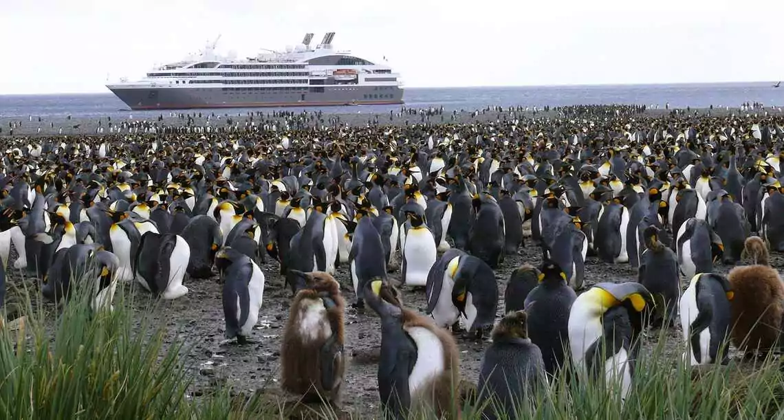 Antarctica Cruises for Seniors