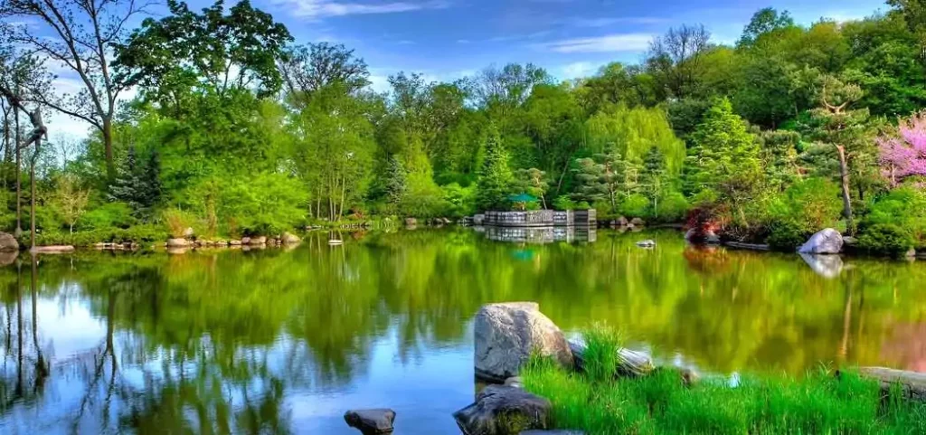 anderson japanese gardens