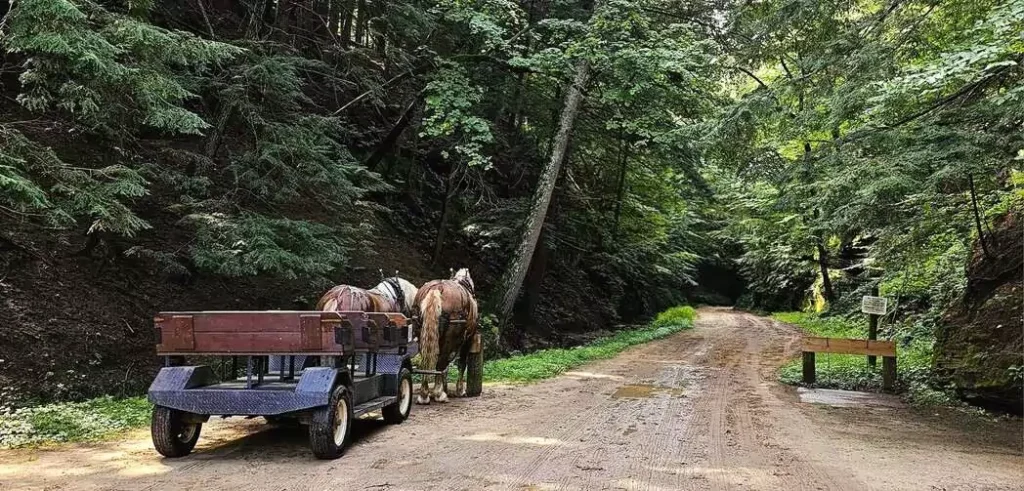 lost canyon horse drawn tour