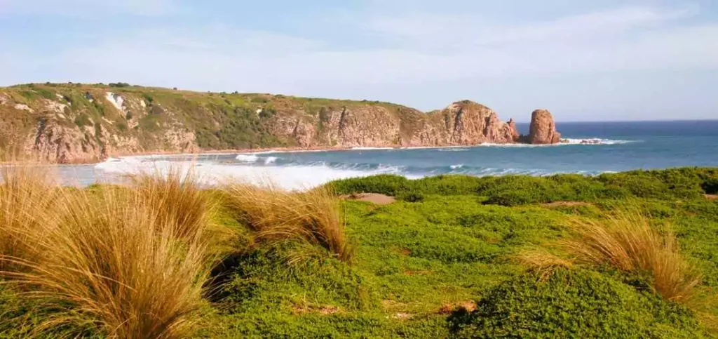 phillip island australie