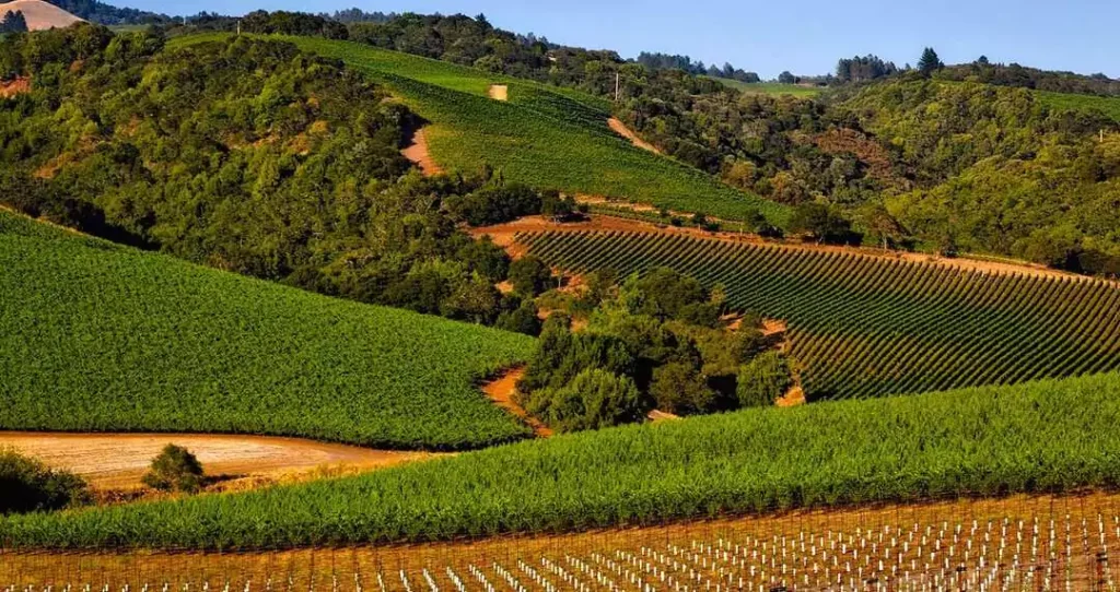 napa valley california