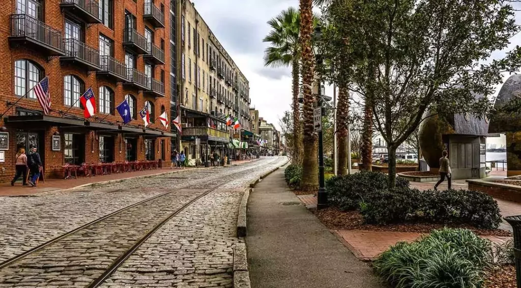 savannah