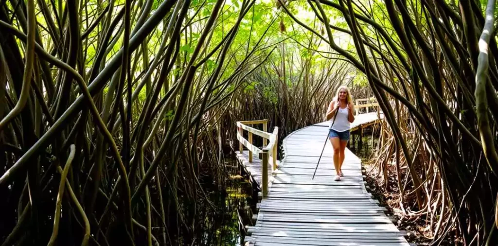 The Sunshine Coast blends beauty and accessibility beautifully