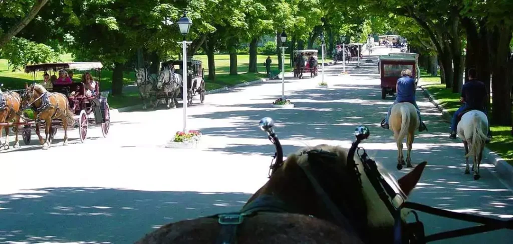 Relax on a charming carriage ride through car-free Mackinac Island.