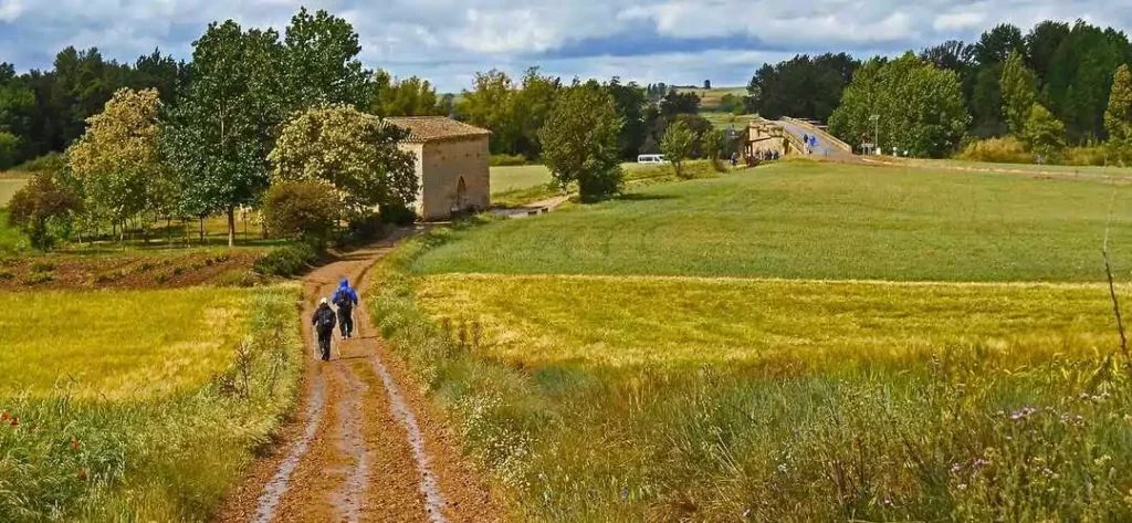 Walk at your own pace and find new meaning on the timeless Camino de Santiago.