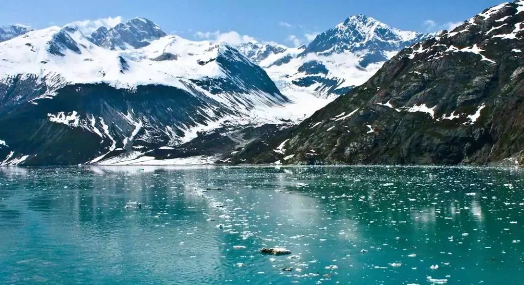 Witness the raw power of nature while cruising past Glacier Bay’s towering ice walls.