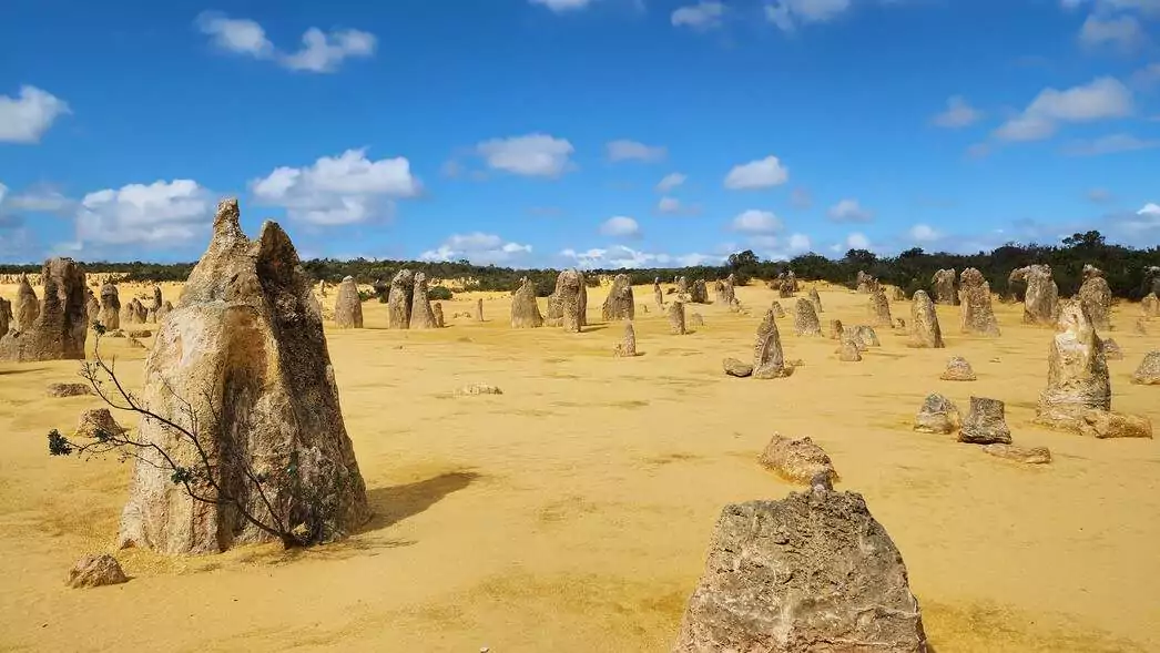 Best Day Trips for Seniors in Perth