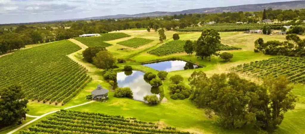 Sip local wines in comfort at Sandalford Estate, one of Swan Valley’s most senior-friendly wineries.