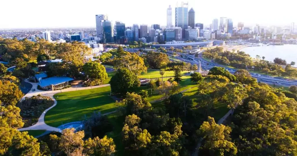 Soar above the treetops on the Lotterywest Federation Walkway in Kings Park.
