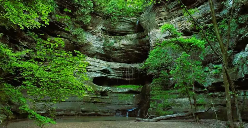 Starved Rock State Park, where every season paints a new story in the heart of the Illinois countryside.