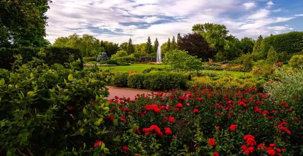 Stroll through the peaceful Japanese Garden at the Chicago Botanic Garden