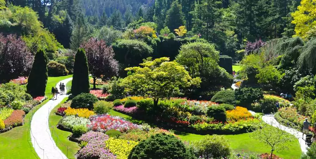 The Butchart Gardens are not only stunning — they’re fully accessible, with benches, rest areas, and electric cart rentals.