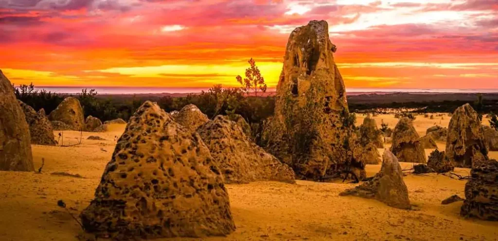 The Pinnacles Desert glows at sunset—a serene, accessible wonder just two hours from Perth.