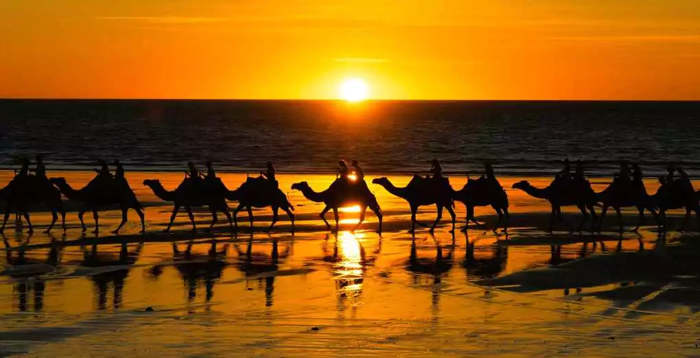An iconic Broome sunset. You can join the camel train or simply relax and watch the magical spectacle from the comfort of the beach.