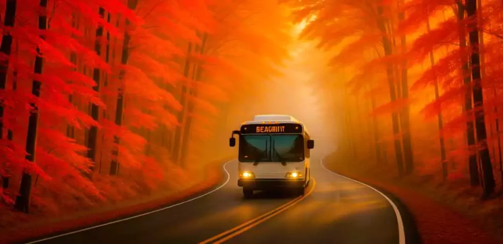 Drive the legendary Tunnel of Trees during peak fall color—nature’s most vibrant show.