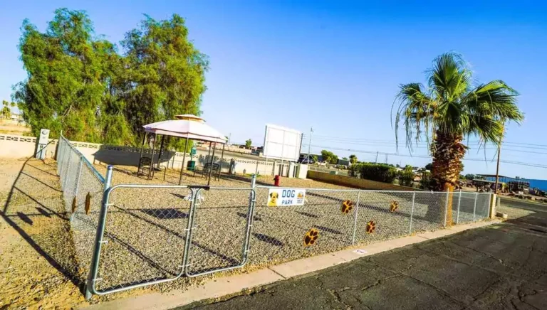 Pet-Friendly RV Parks in Yuma, AZ