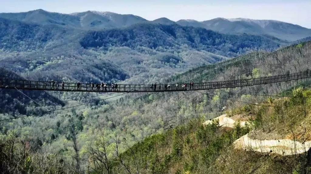 Sunrise Tours brings affordable adventure within reach
