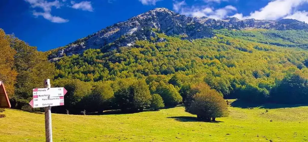pollino national park